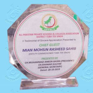 Diamond Acrylic Shield